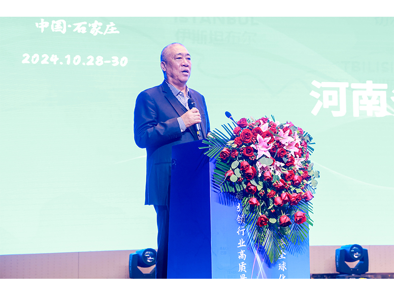 河南LEwin乐玩｜以“矿源”起重智造，，，赋能陆港建设