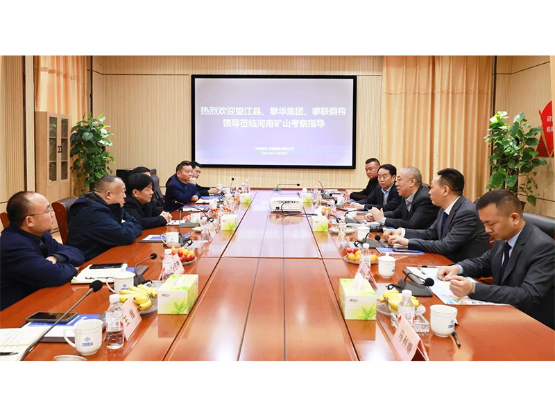 河南LEwin乐玩｜望江县、、攀华集团辅导莅临公司调查互换